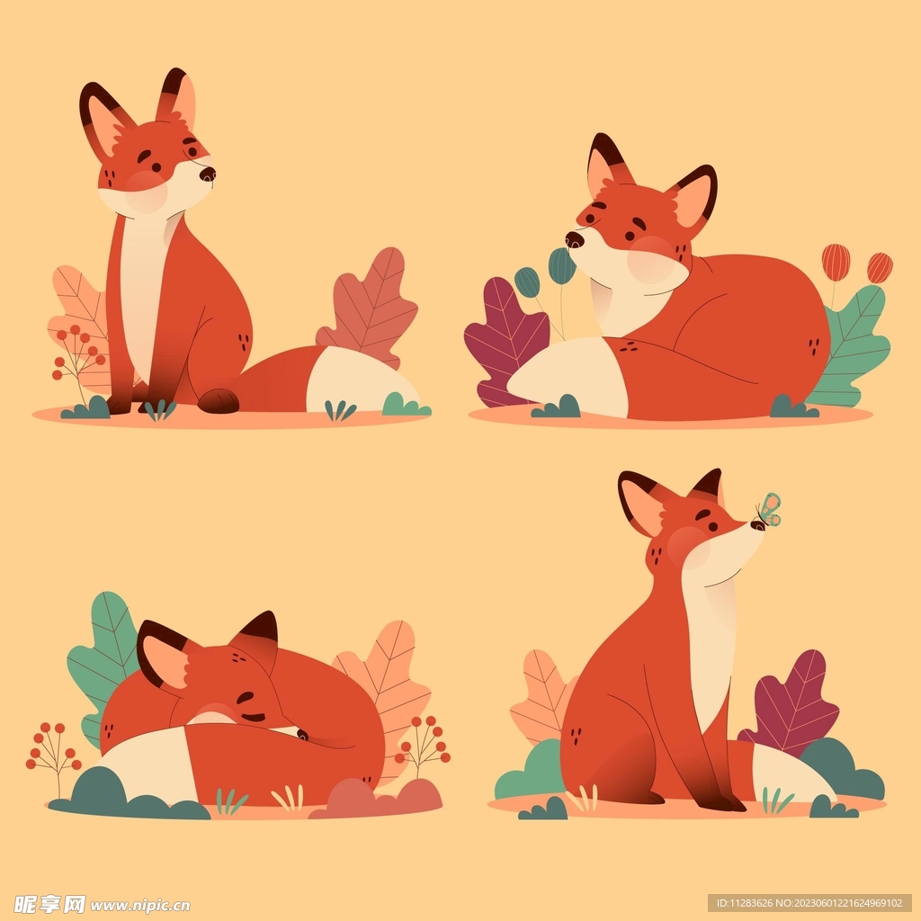 狐狸插画