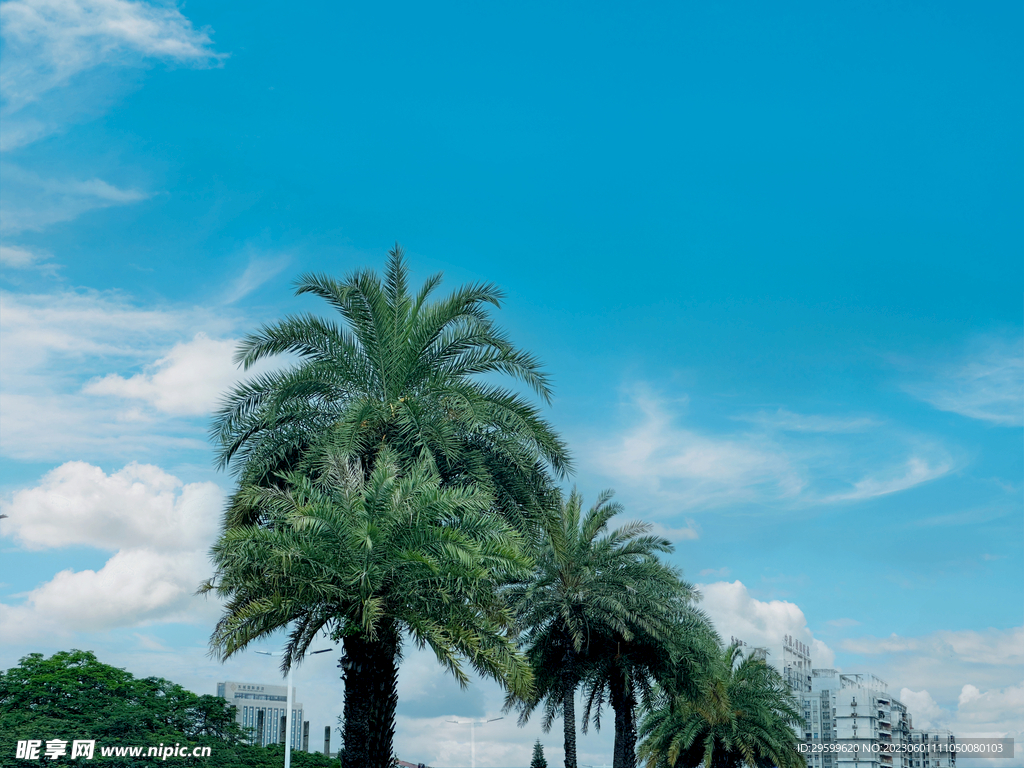 天空