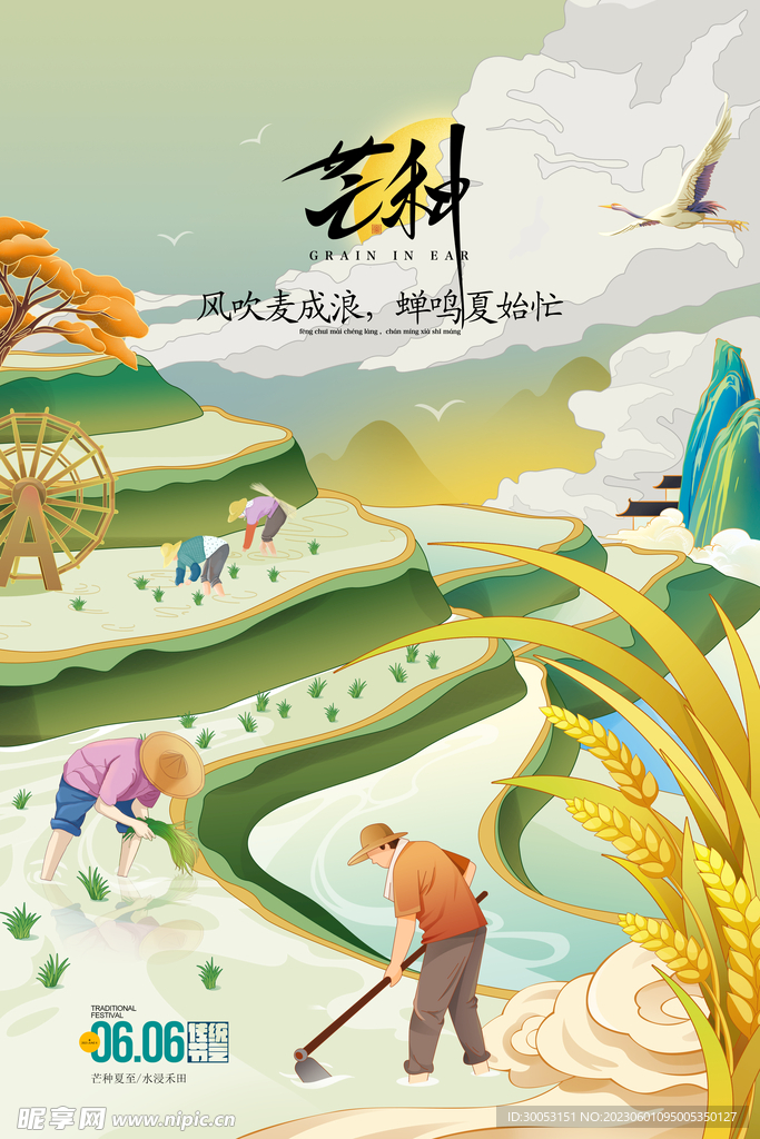芒种海报