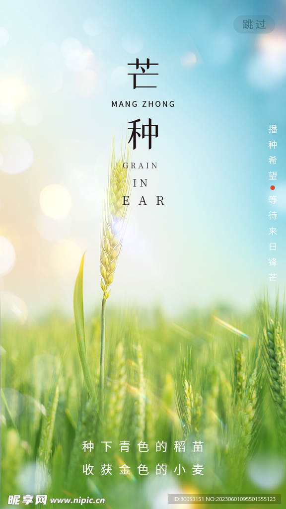芒种海报