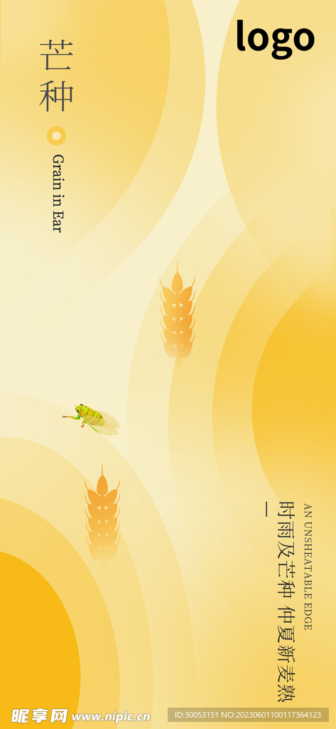 芒种海报