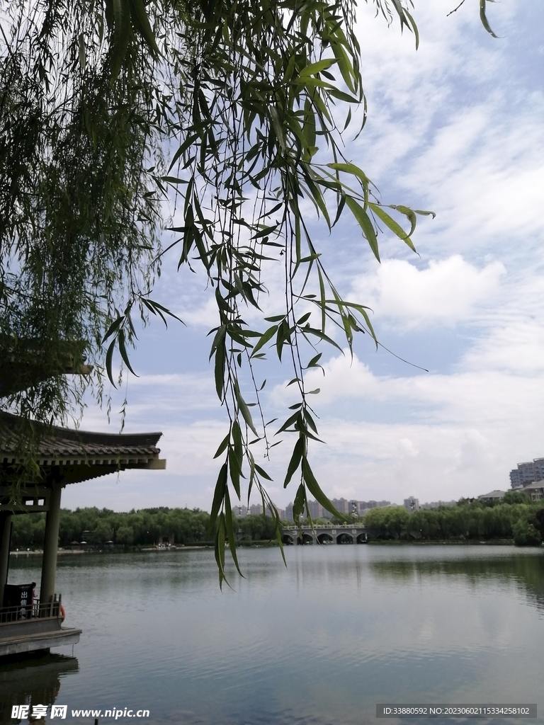 柳暗花明