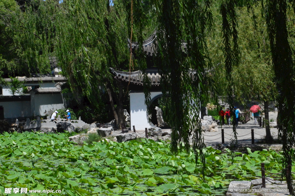 陶然亭风景 