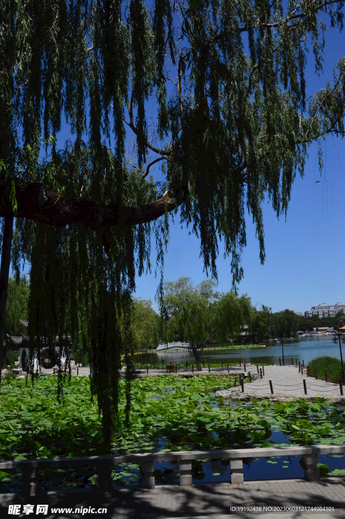 陶然亭风景