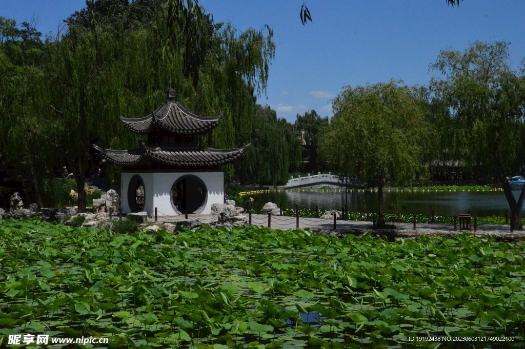 陶然亭风景