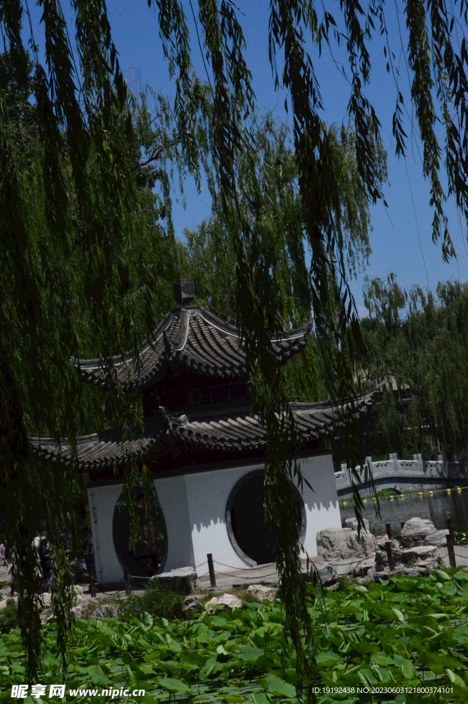 陶然亭风景