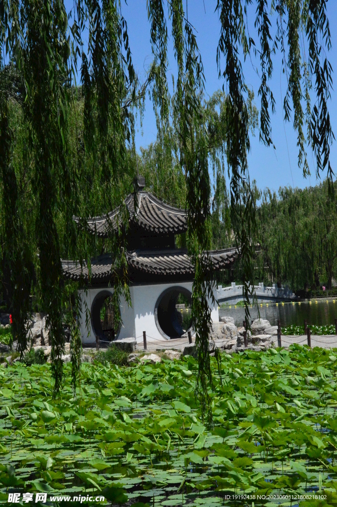 陶然亭风景  