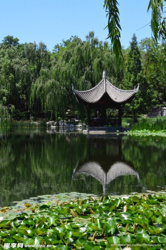 陶然亭风景