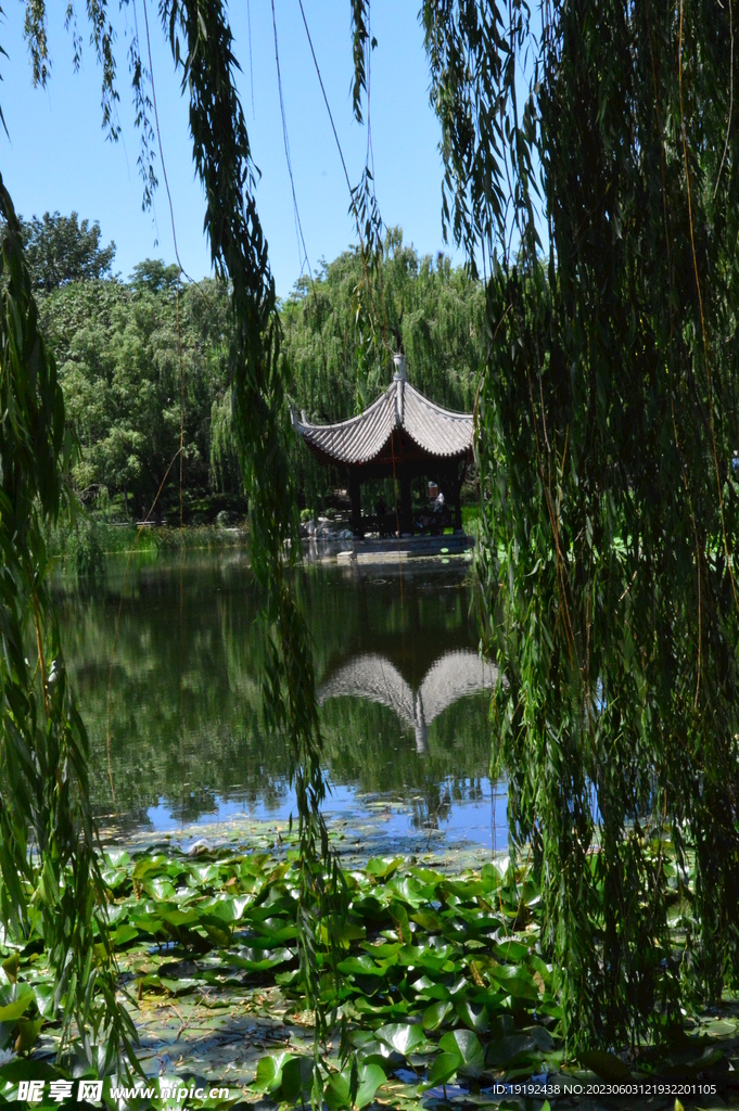 陶然亭风景 