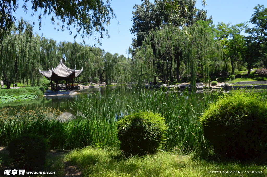 陶然亭风景