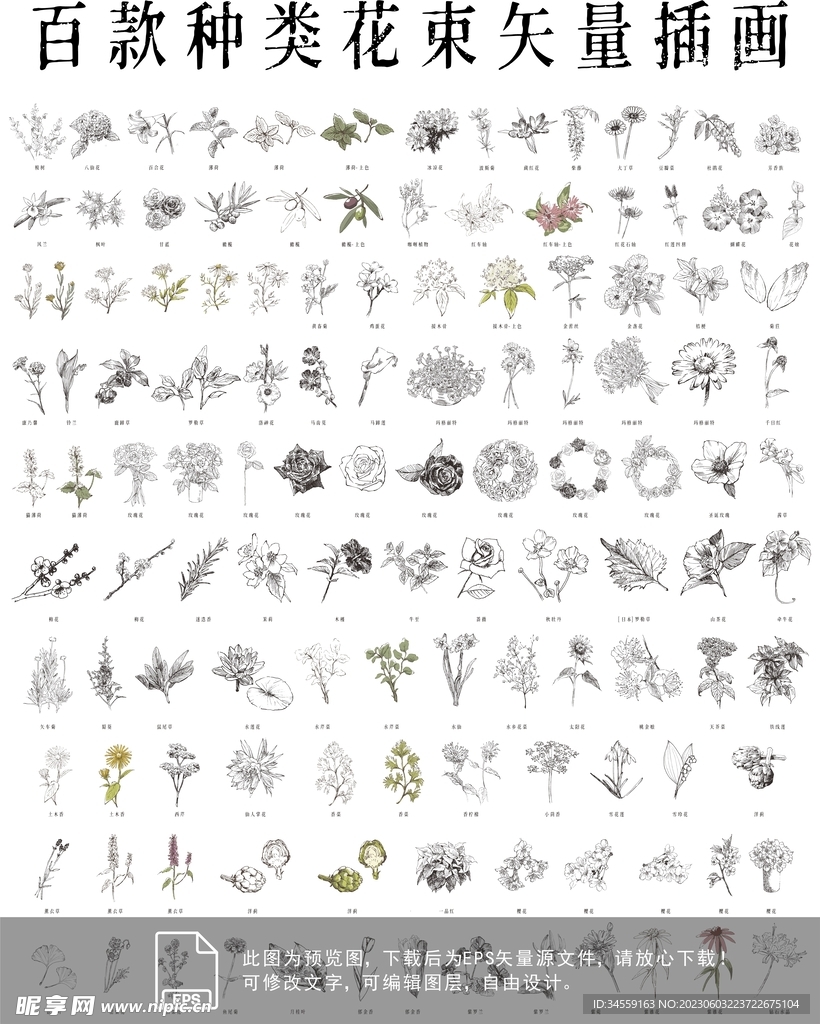 花矢量插画