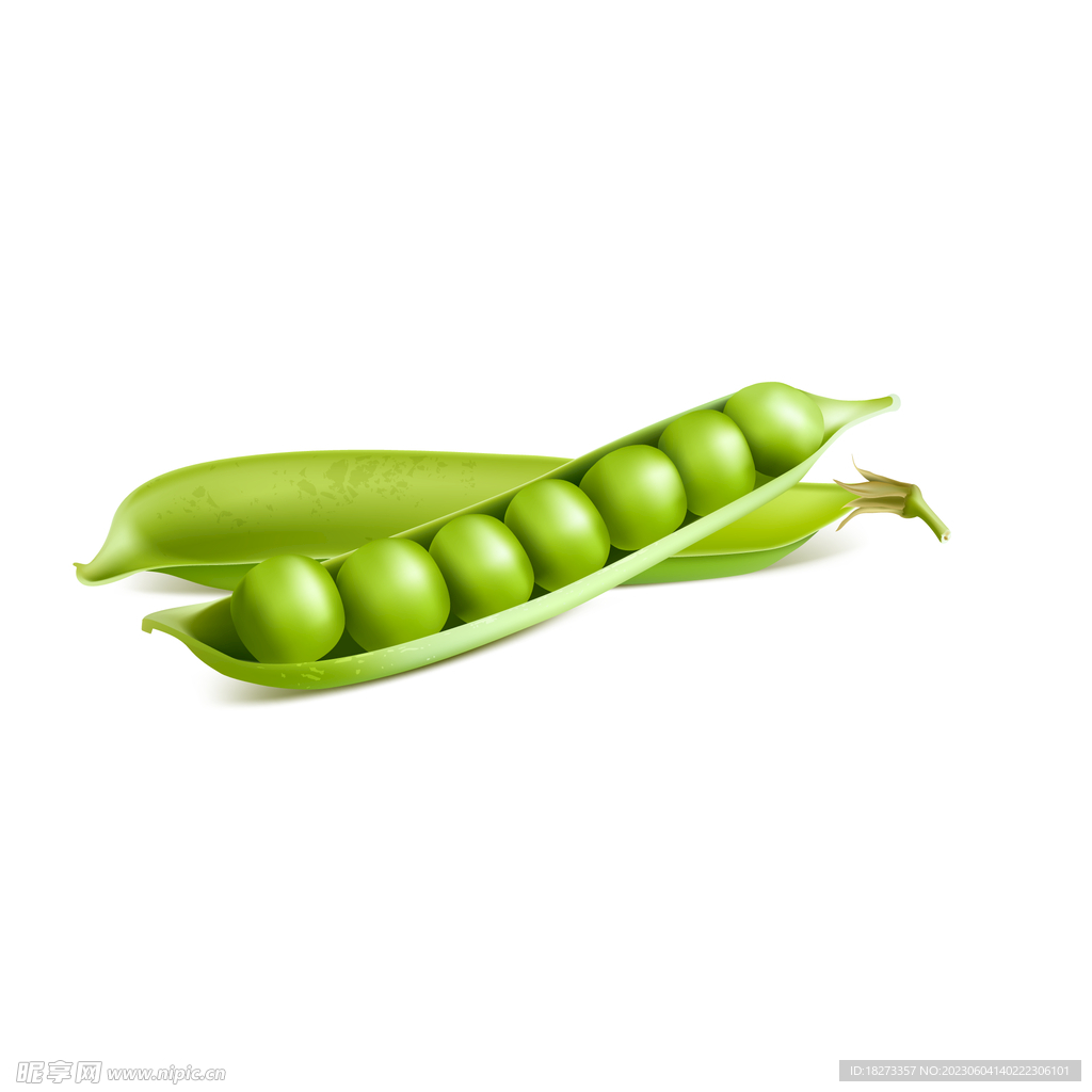 豌豆
