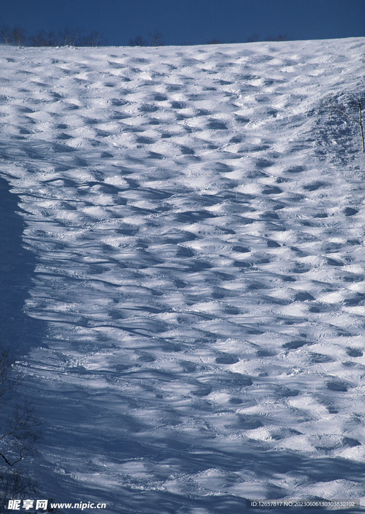 雪景 雪上运动