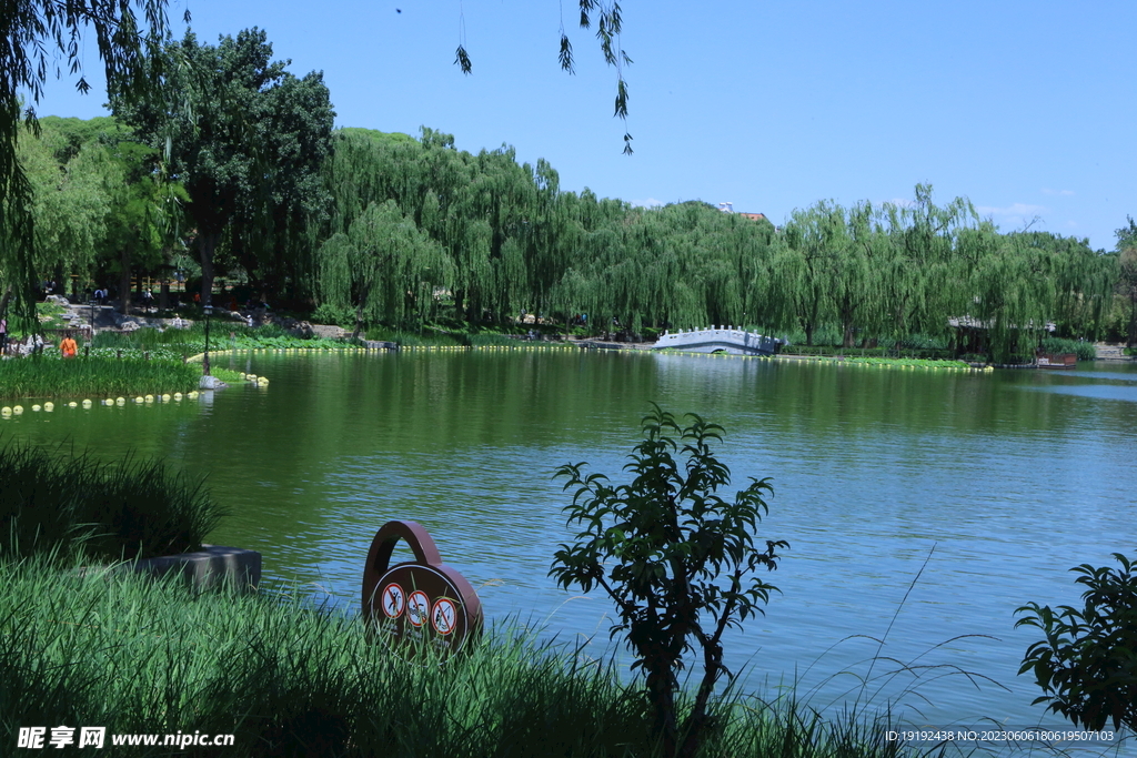 陶然亭风景 