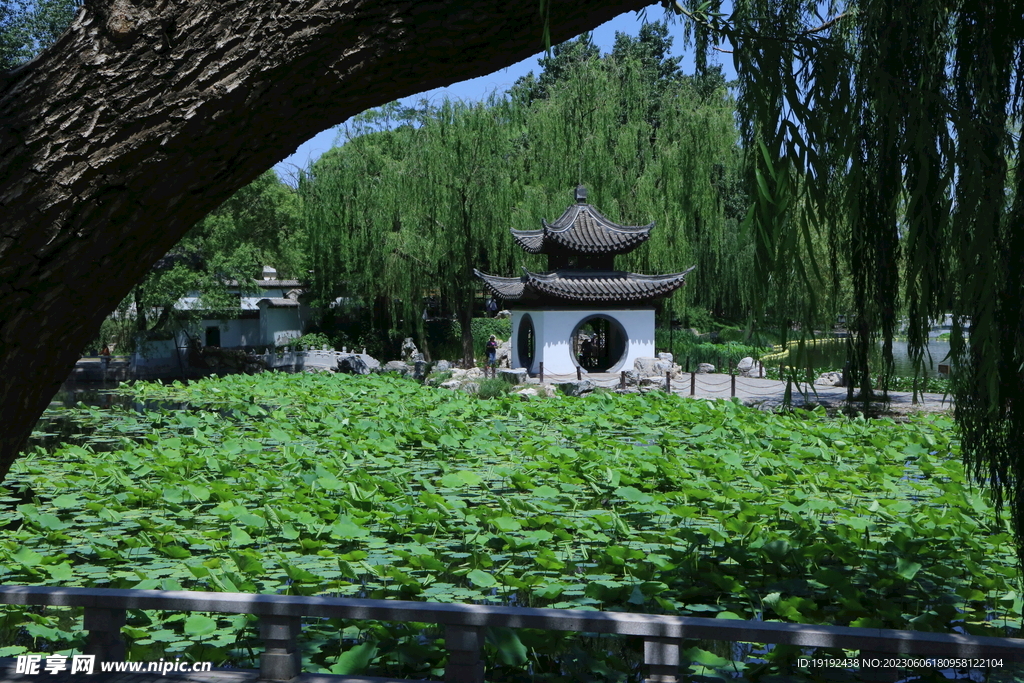 陶然亭风景  
