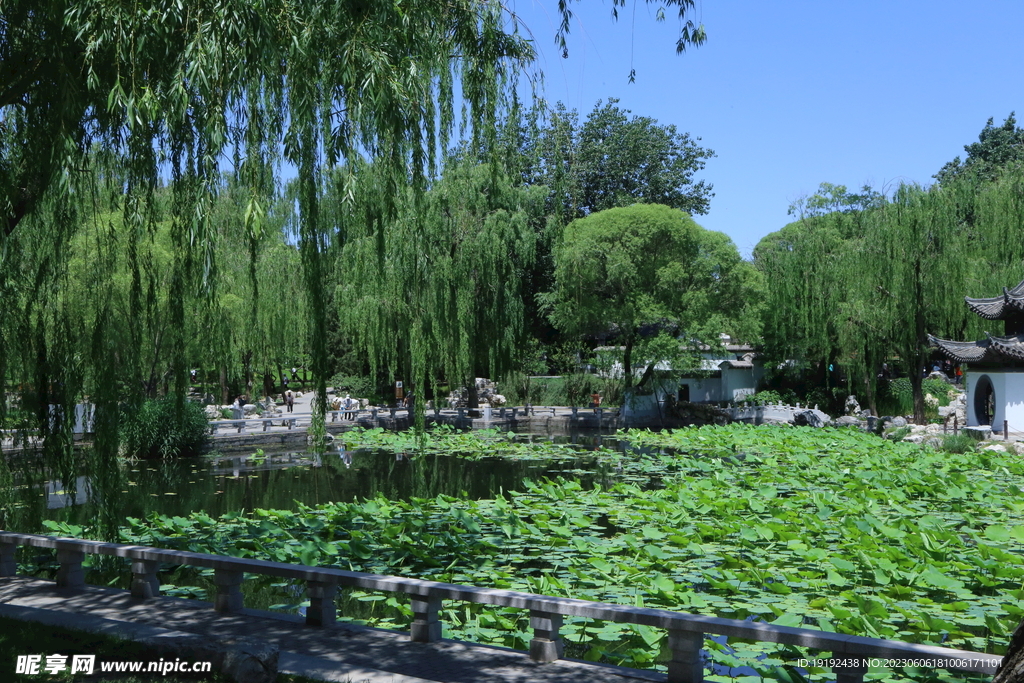 陶然亭风景  