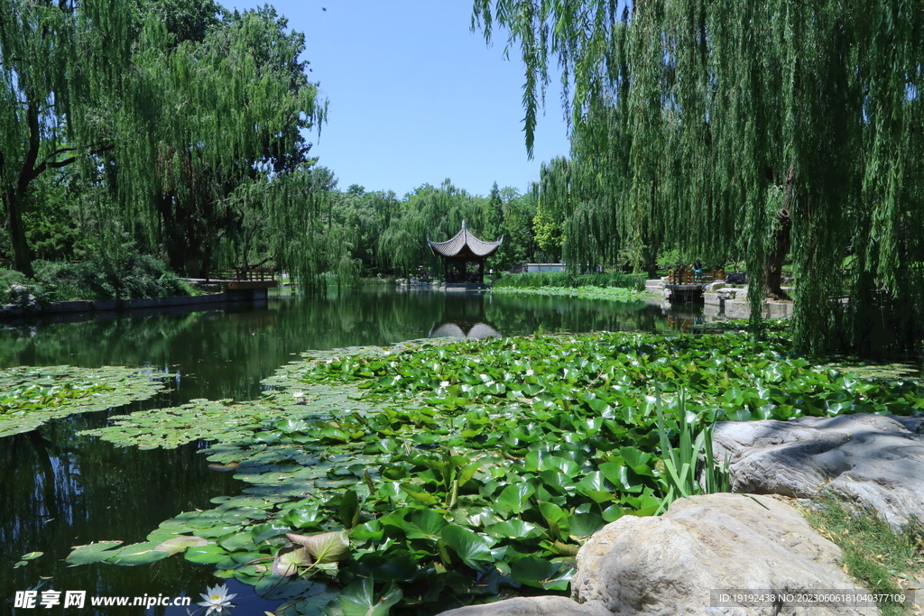 陶然亭风景 