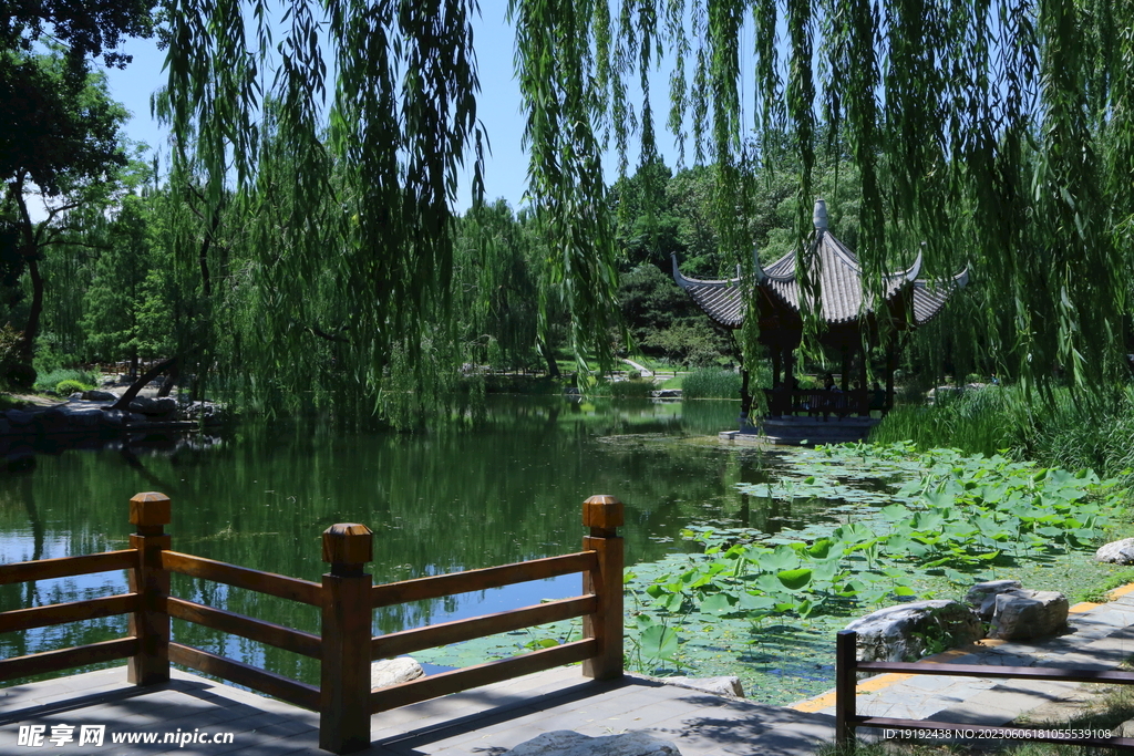 陶然亭风景