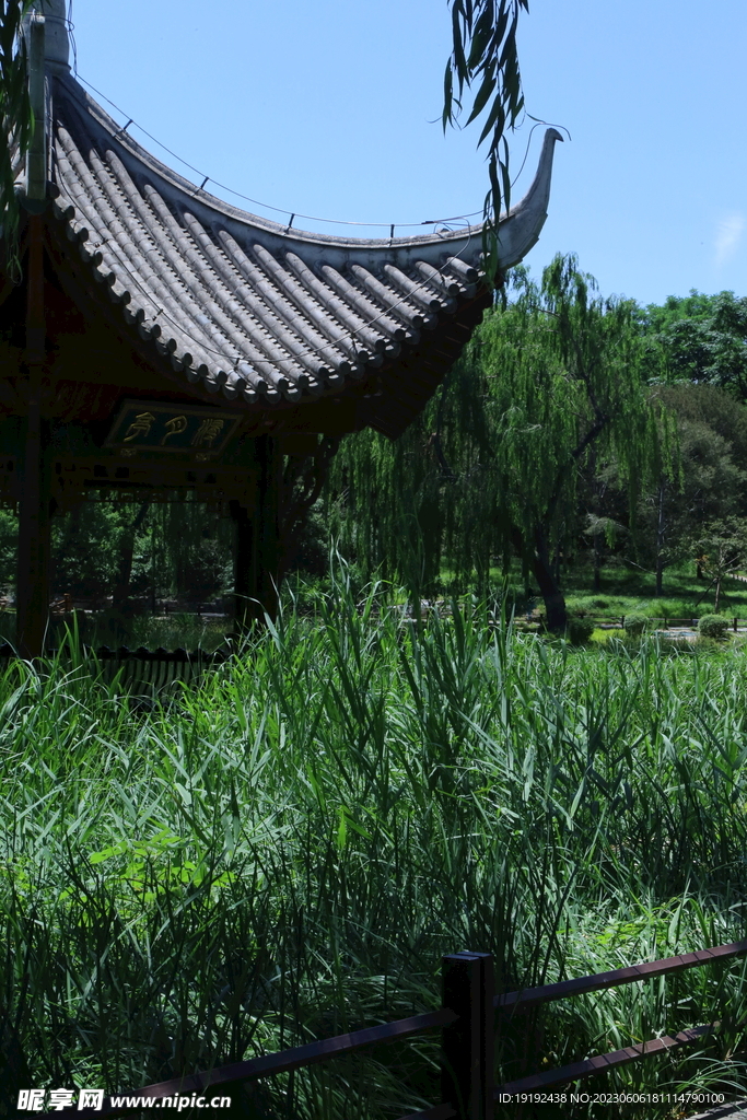 陶然亭风景 