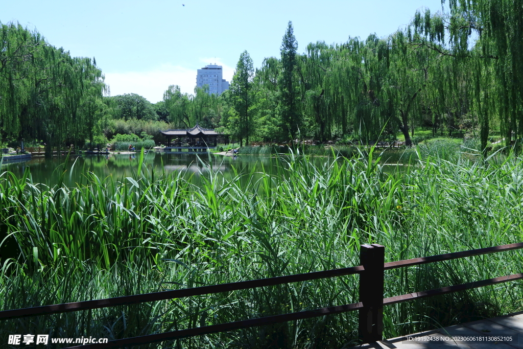 陶然亭风景