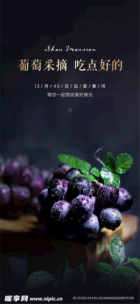 暖场葡萄采摘单图