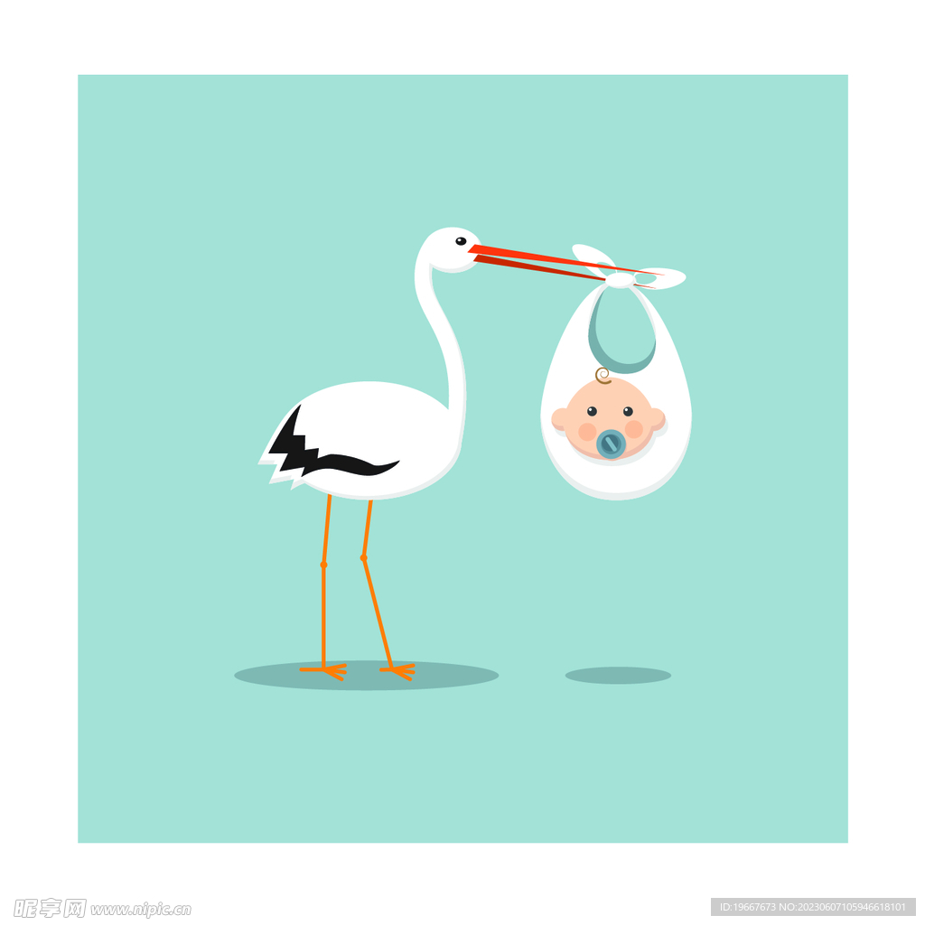 鸟