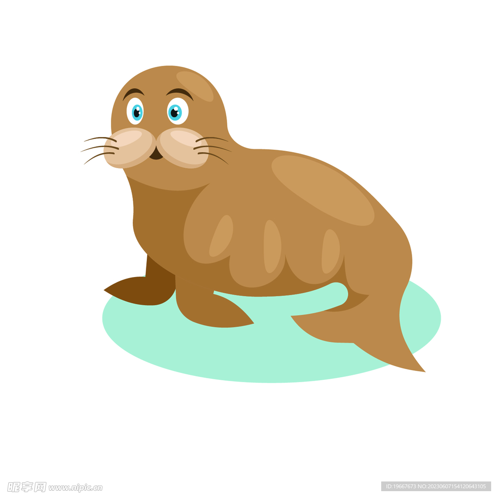 海豹