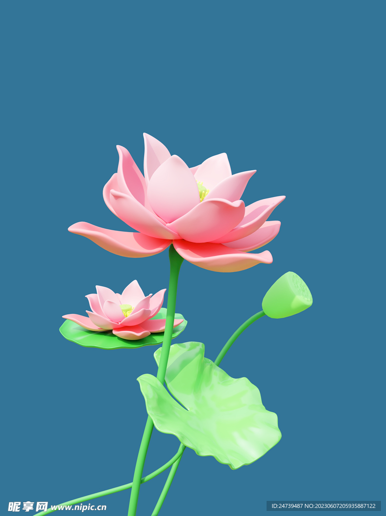 荷花