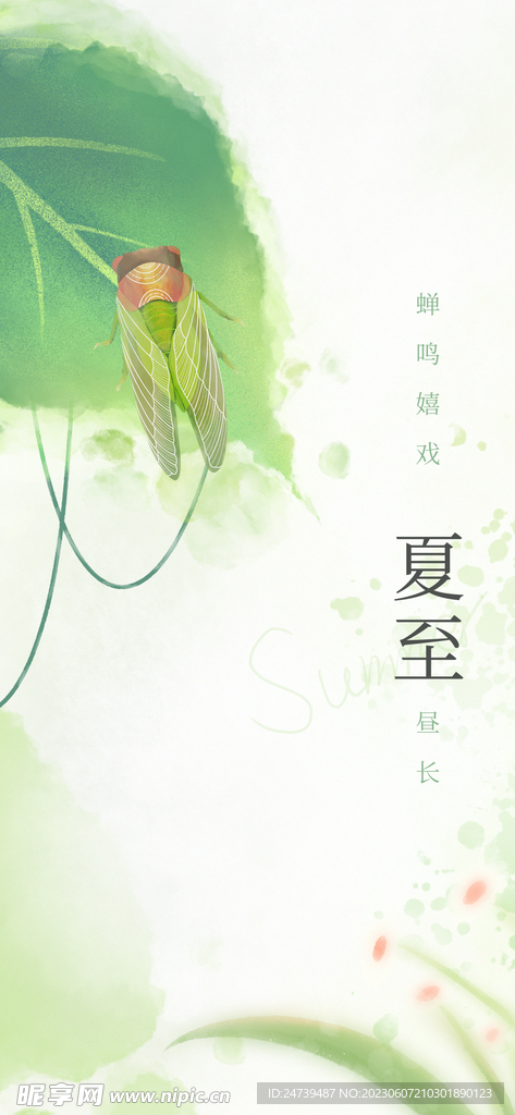 夏至海报