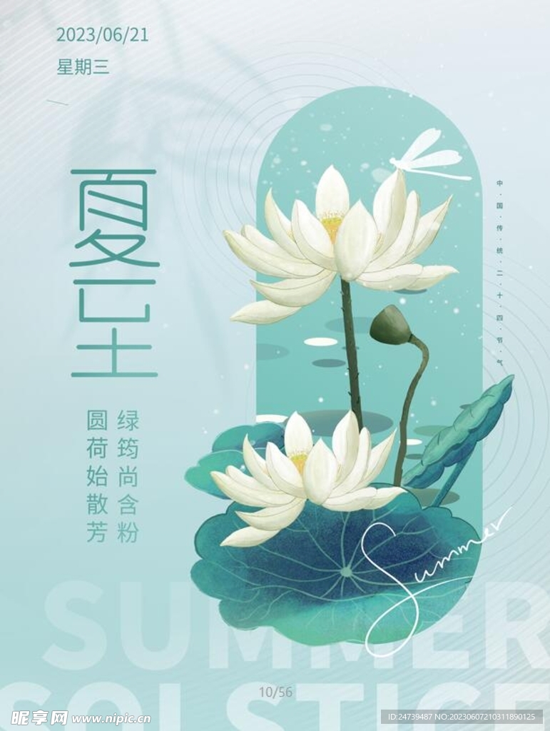 夏至海报