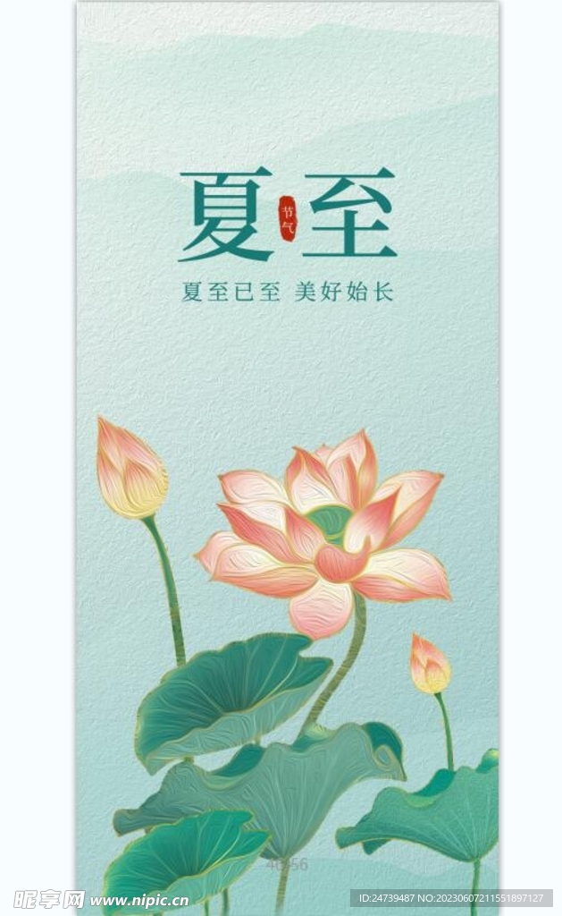 夏至海报