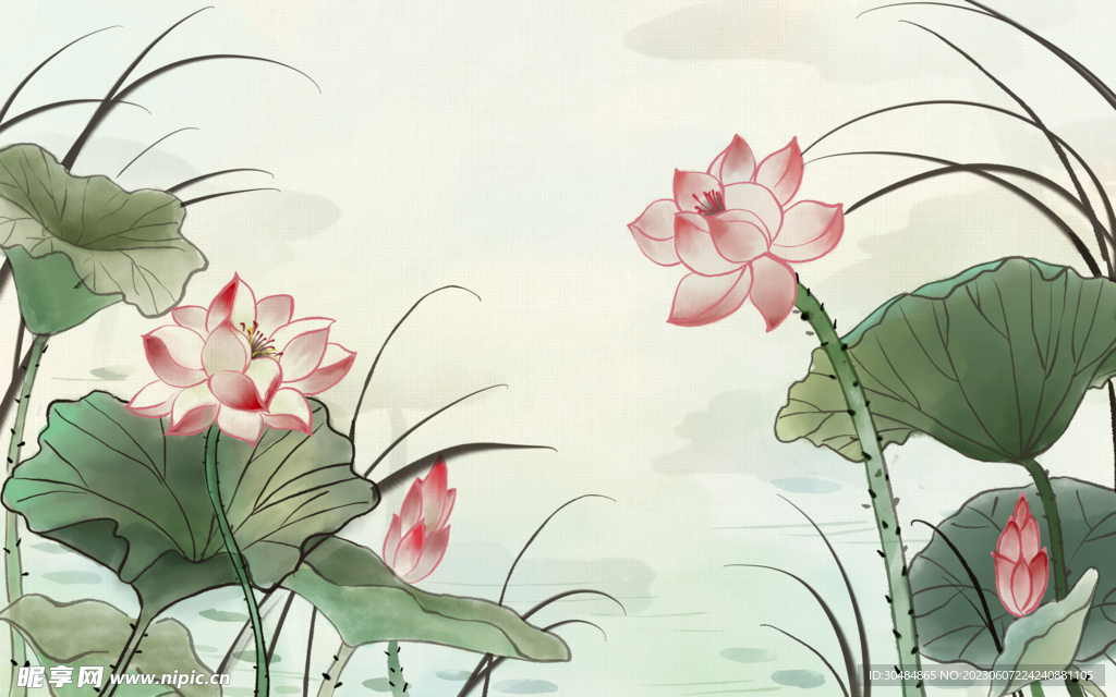夏天荷花插画