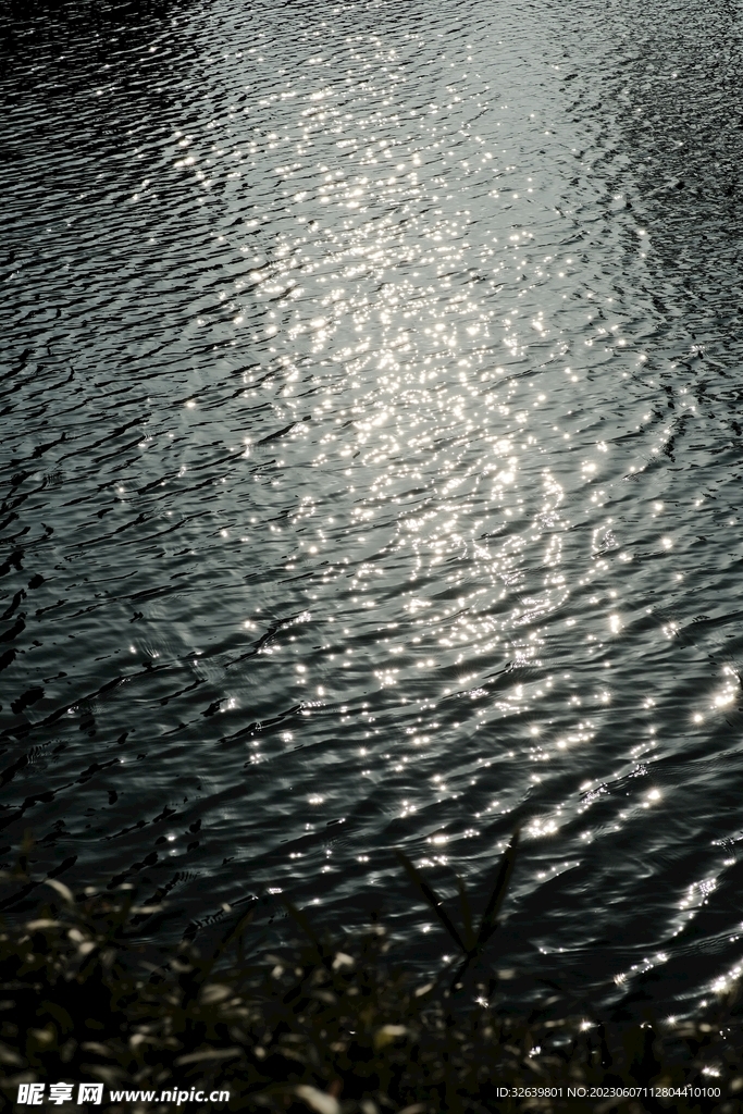 水面