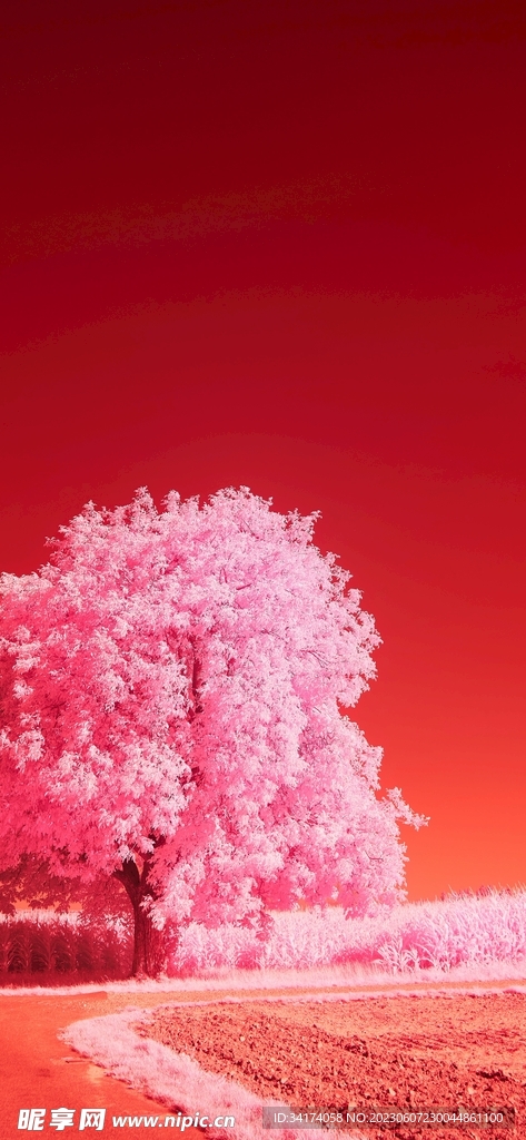 红色背景