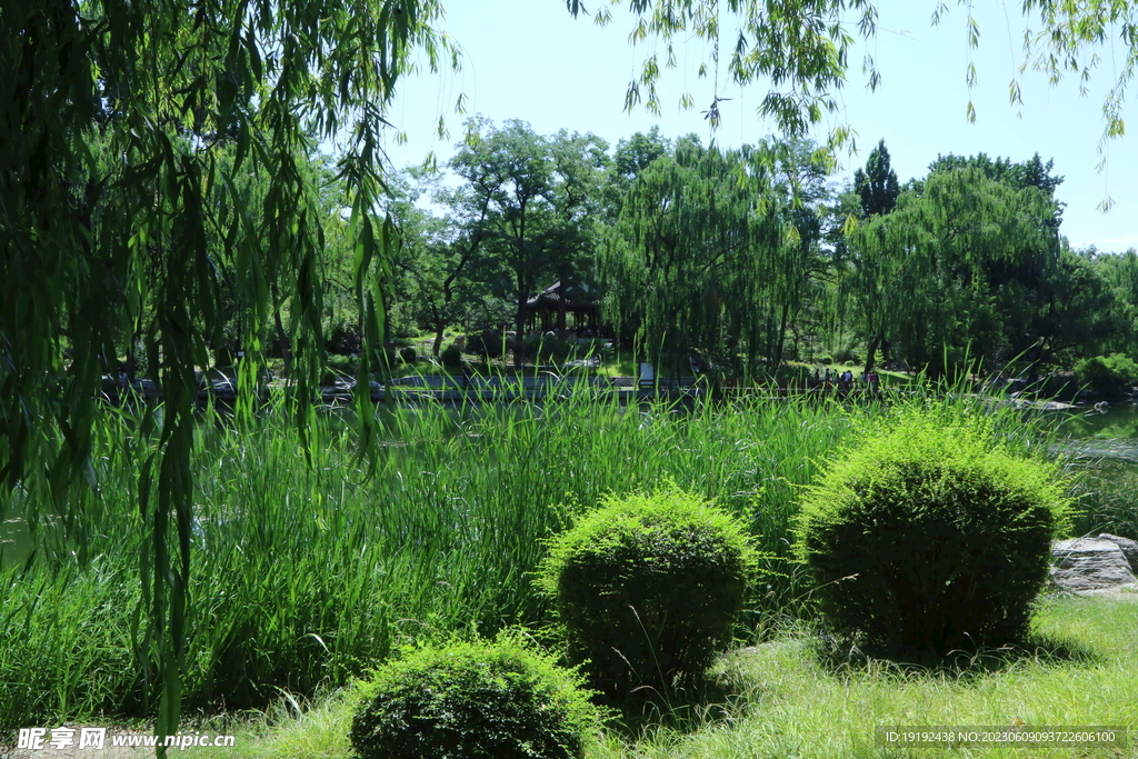 陶然亭风景