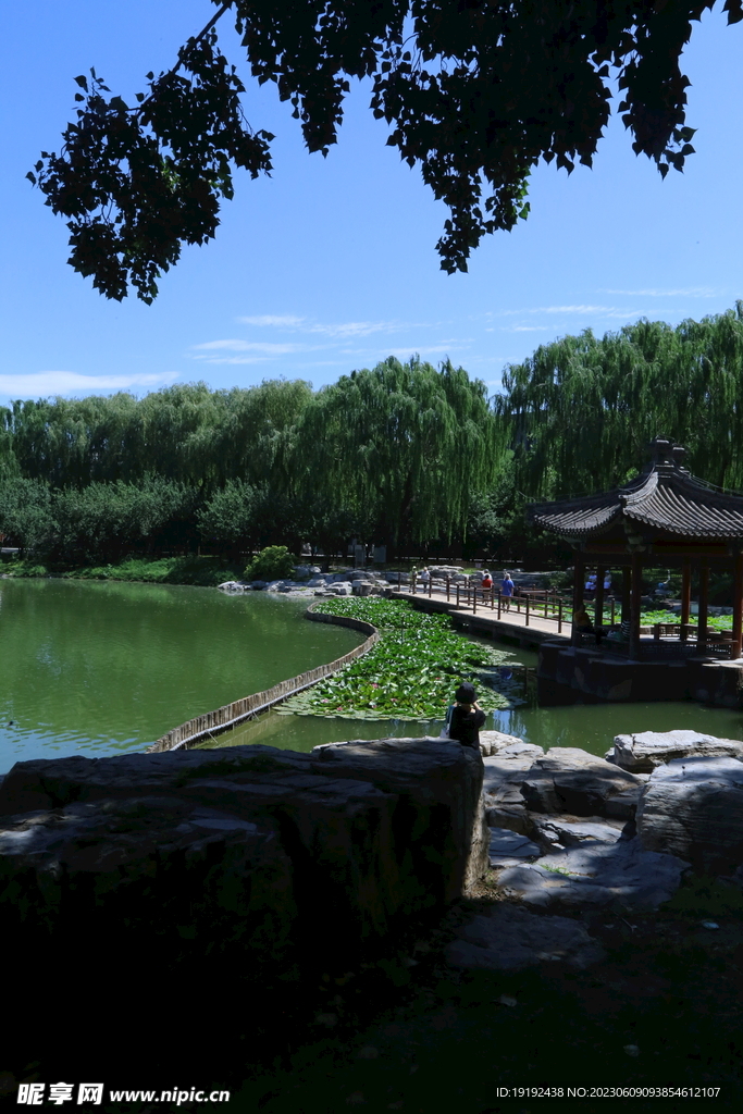 陶然亭风景