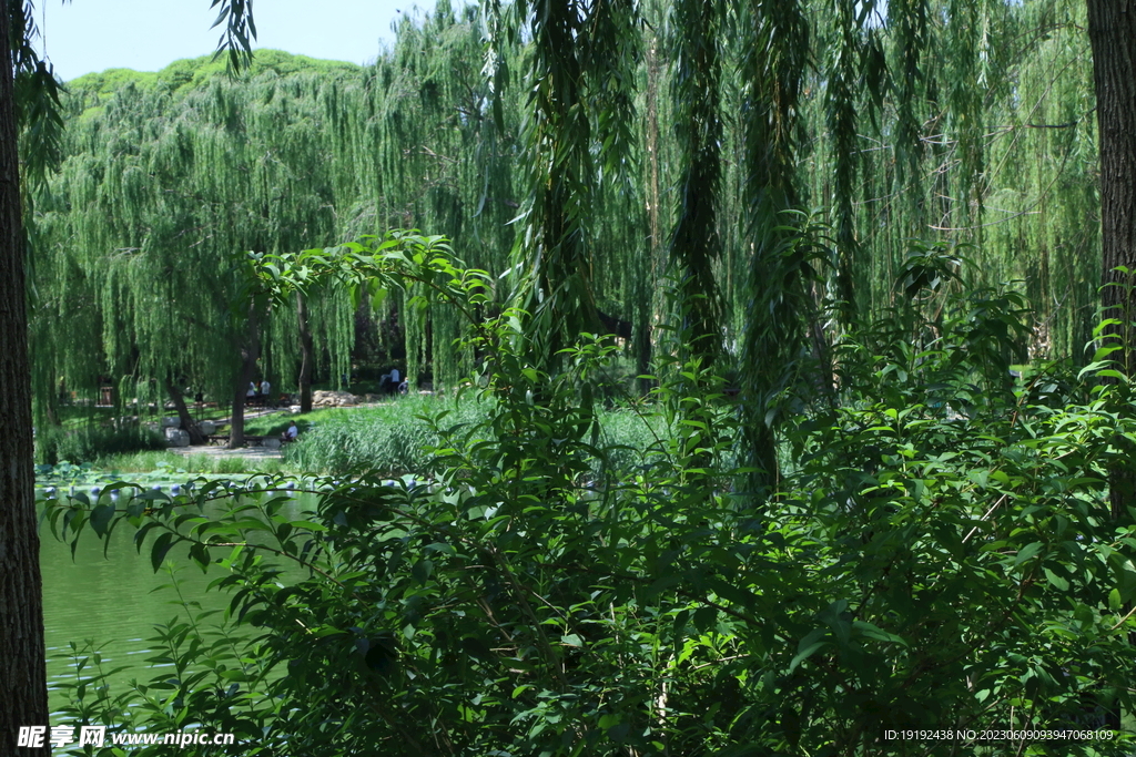陶然亭风景 