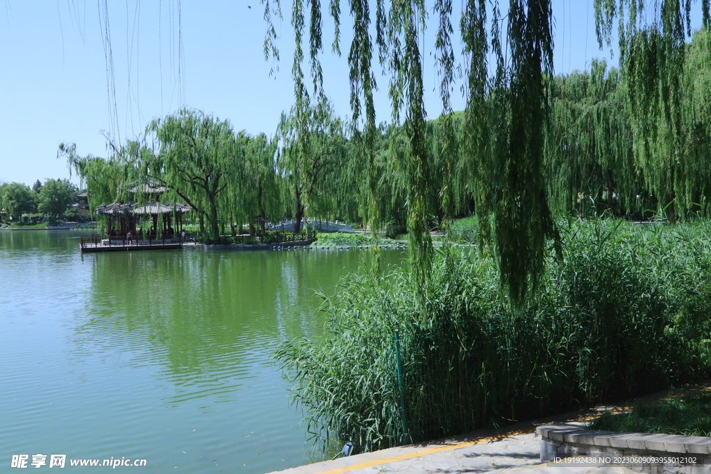 陶然亭风景 