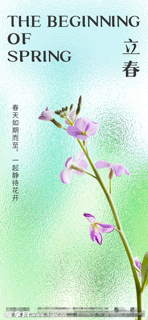 节日节气立春海报
