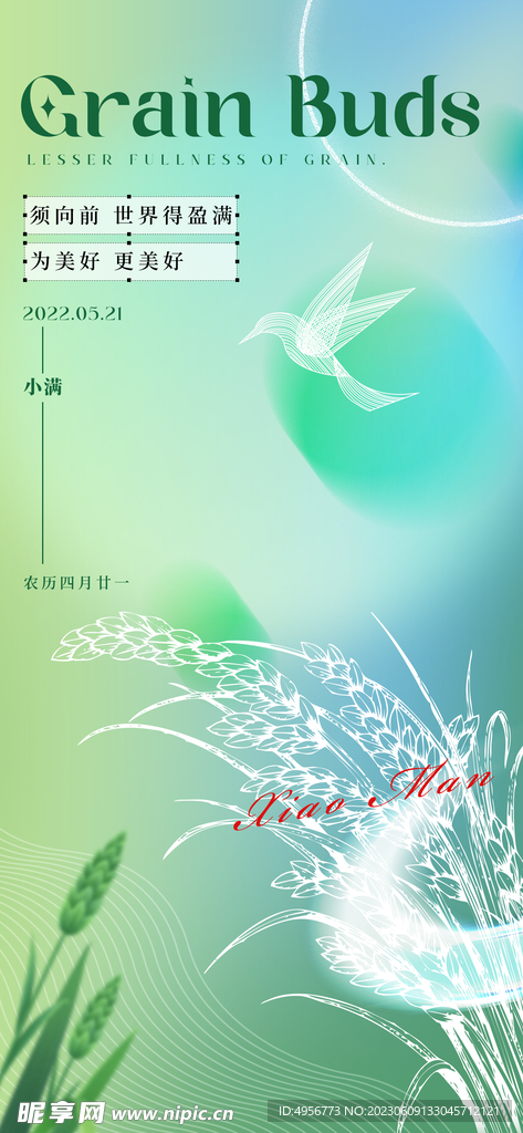 小清新传统24节气小满海报