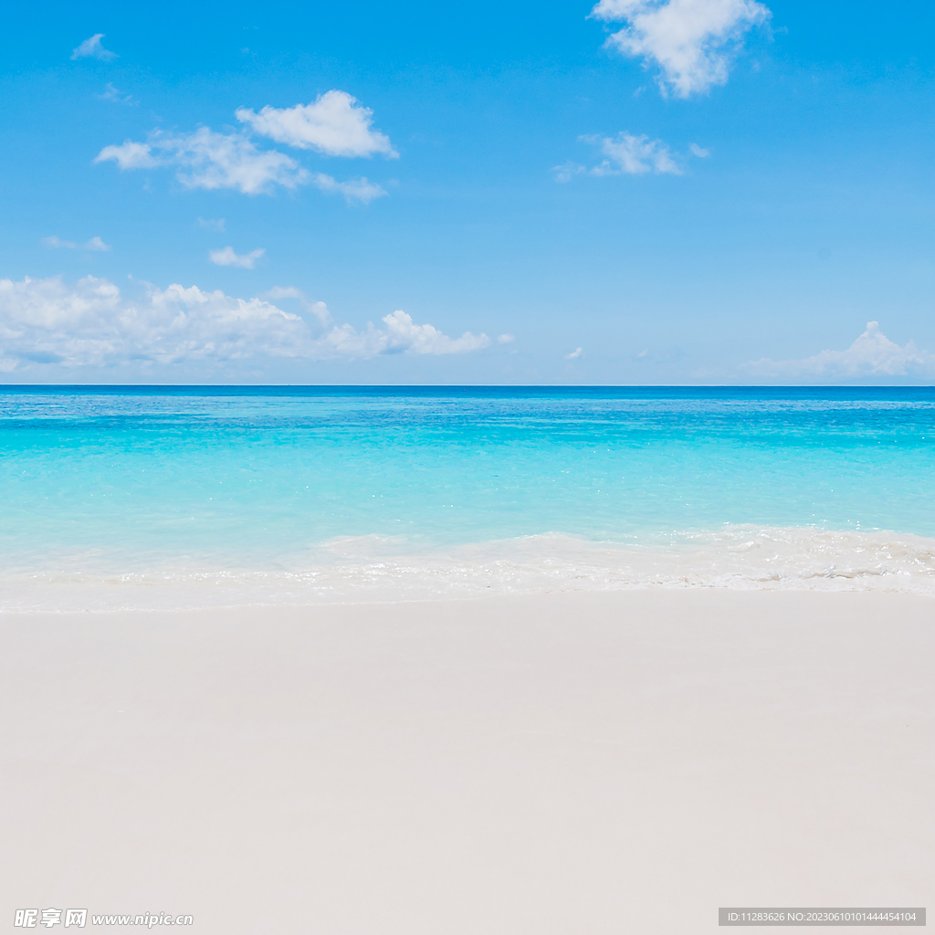 海滩背景