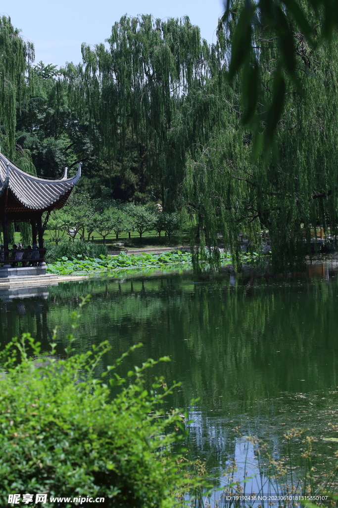 陶然亭风景