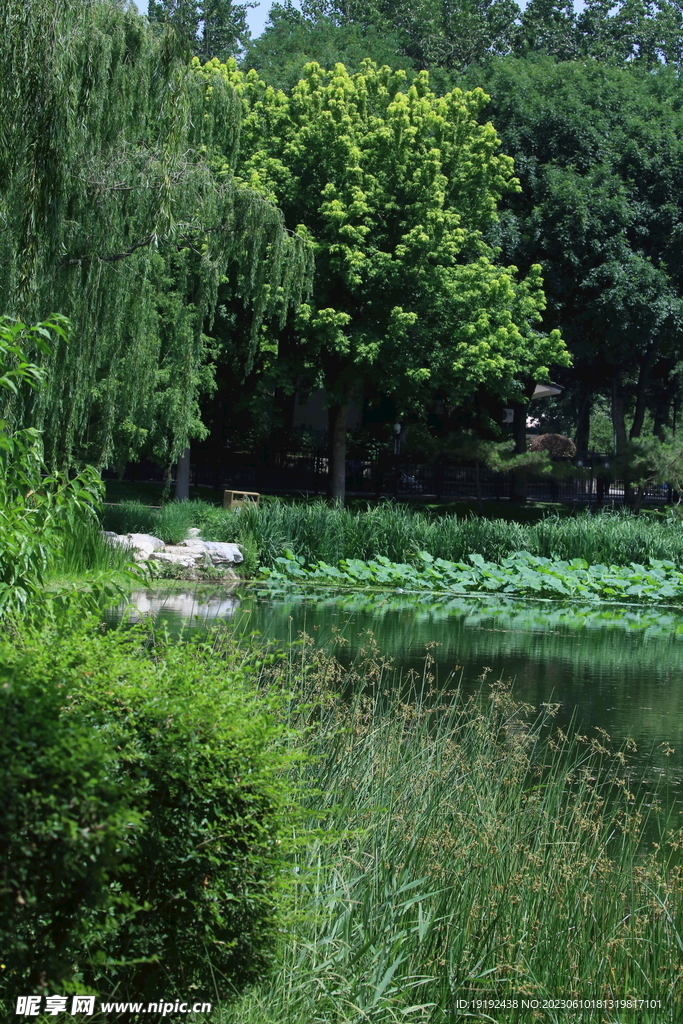 陶然亭风景 