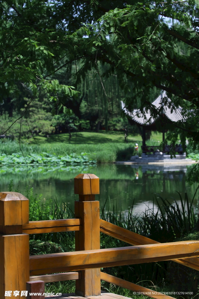 陶然亭风景 