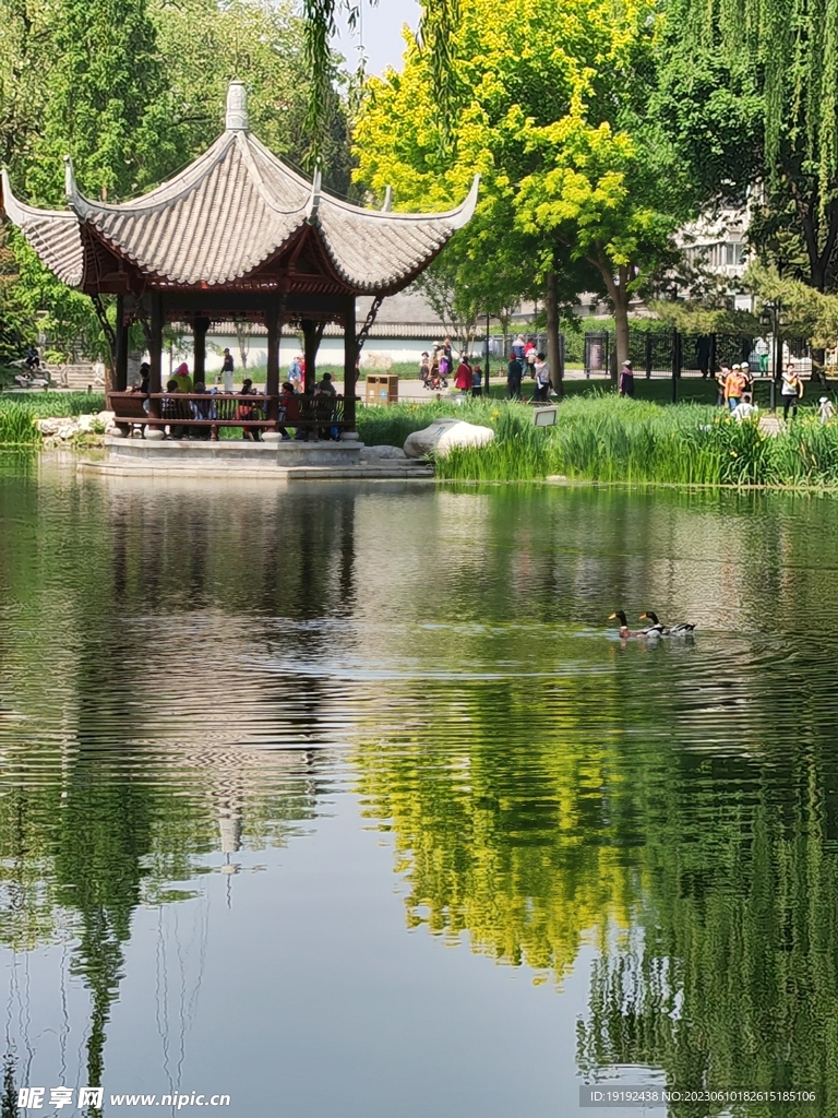 公园风景 