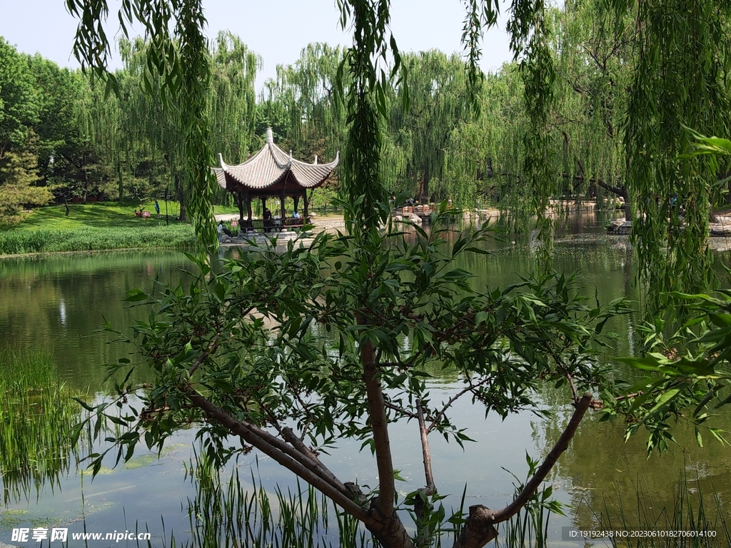 陶然亭风景