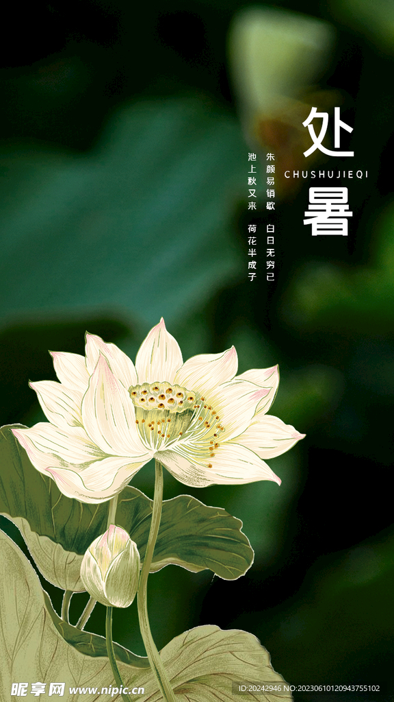 处暑海报 