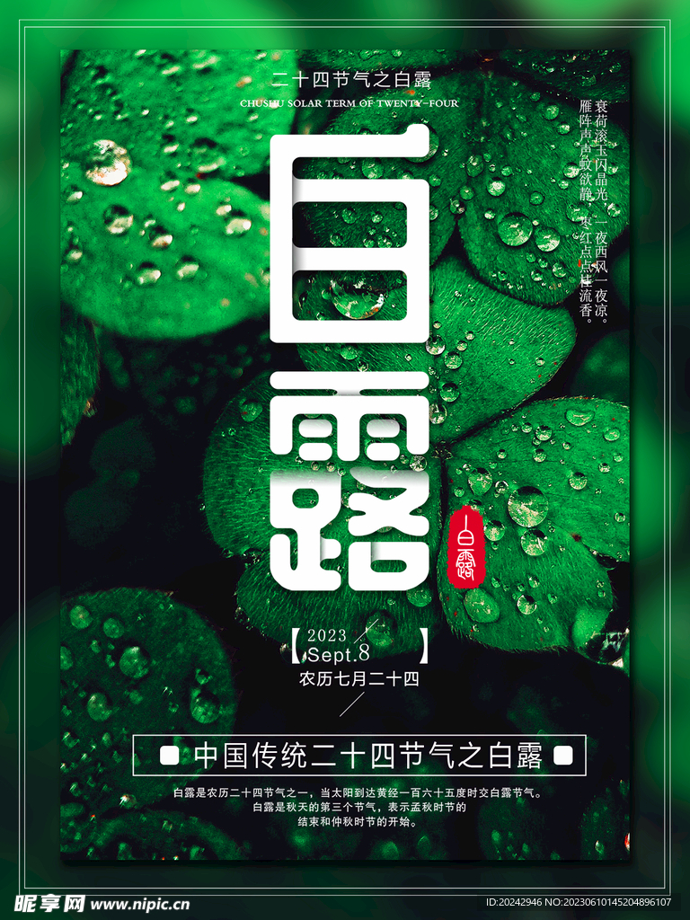 白露海报 
