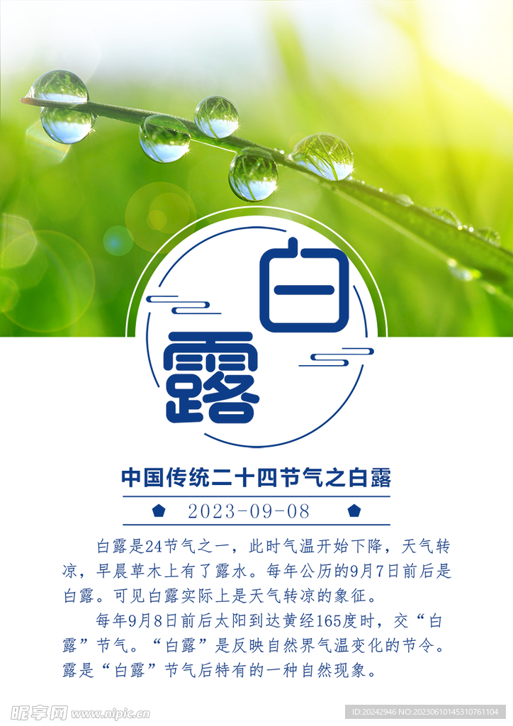 白露海报  