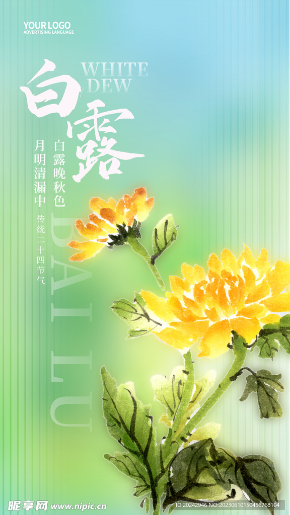 白露海报  